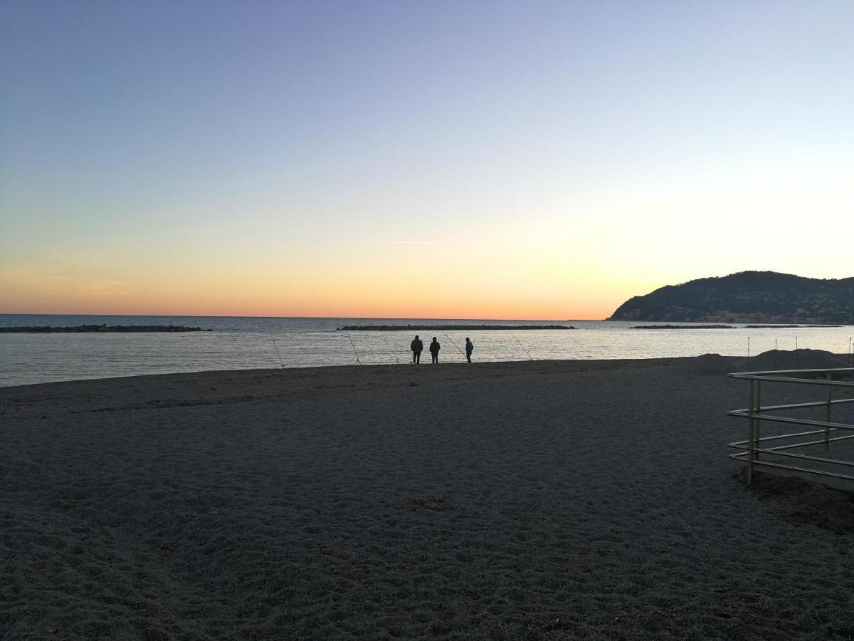 Dianostellamarina
